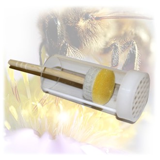 Markierungs und Fangkolben zum Markieren von Bienenköniginnen